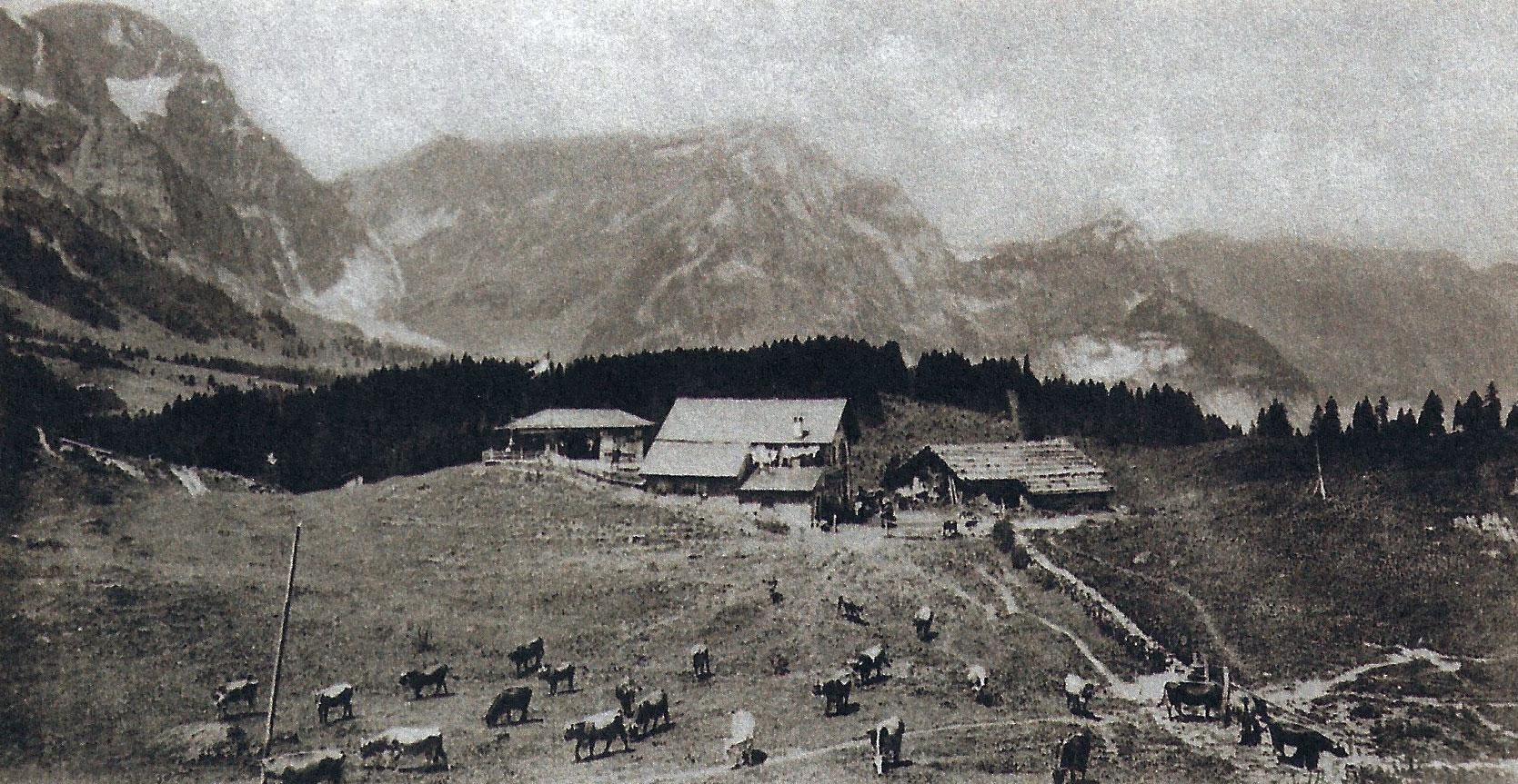 Die Alpweiden vor rund 80 Jahren. Damals wurde die Alp in zwei Teuile geteilt in Ober- und Untergerschni, unterteilt mit einer Steinmauer wie man auf dem Bild sehen kann.